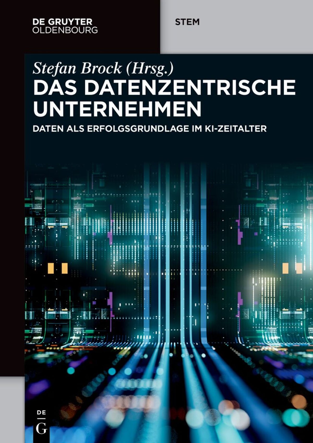 Cover image for Das datenzentrische Unternehmen ISBN 9783111047706