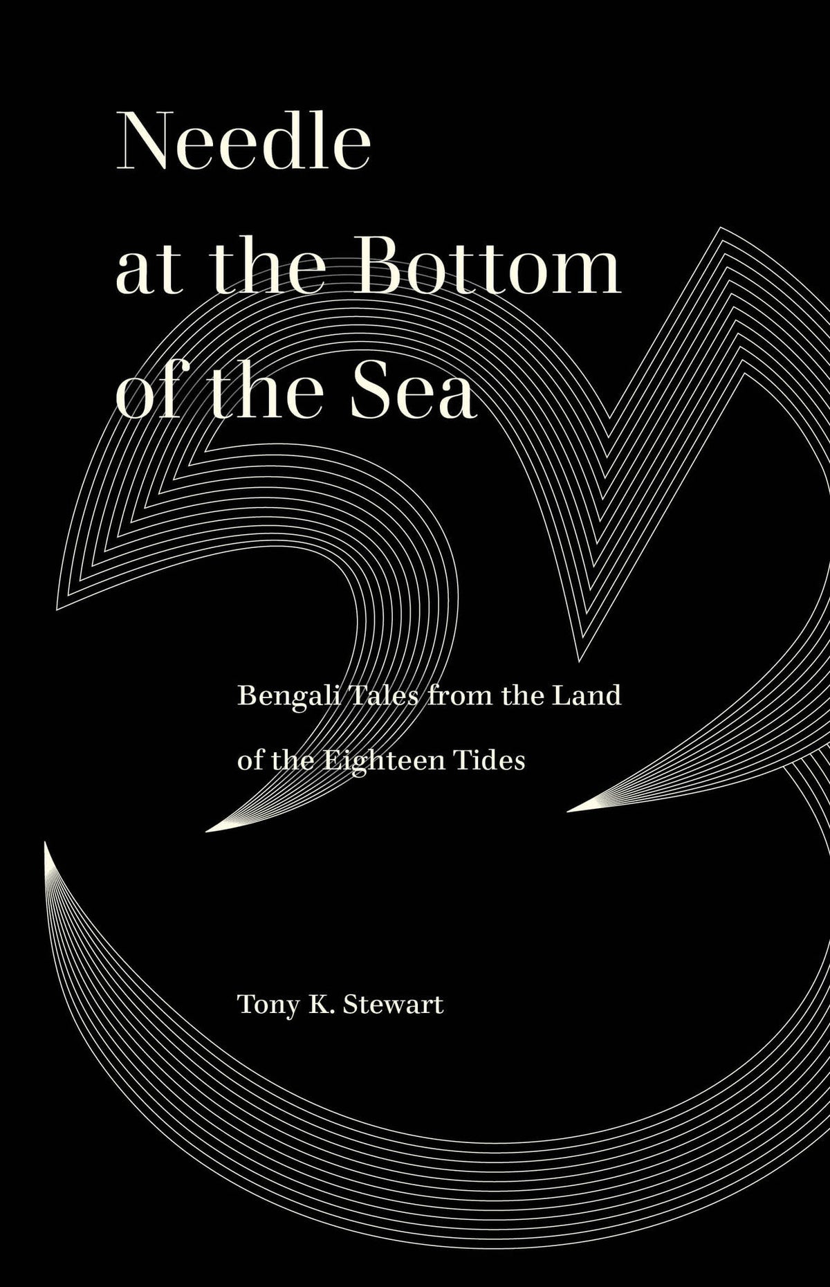 Cover image for Needle at the Bottom of the Sea ISBN 9780520388949