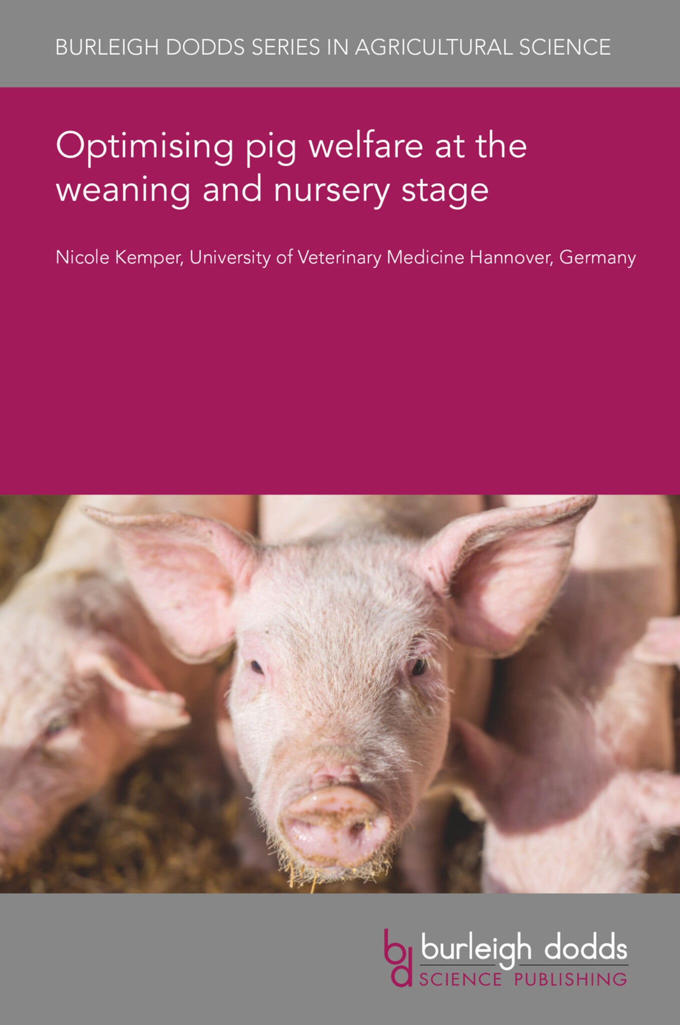 Cover image for Optimising pig welfare at the weaning and nursery stage ISBN 9781801460262