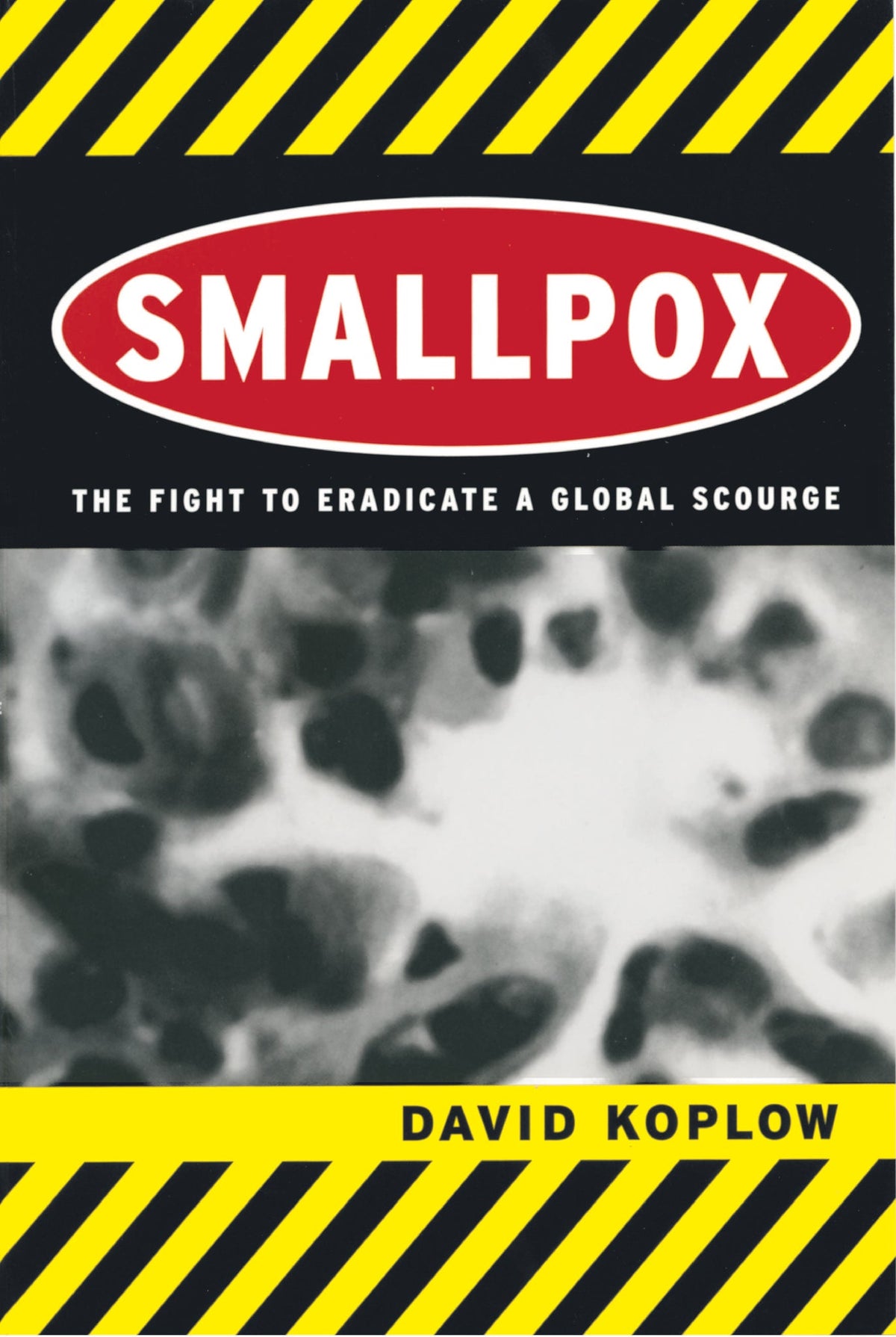 Cover image for Smallpox ISBN 9780520938083