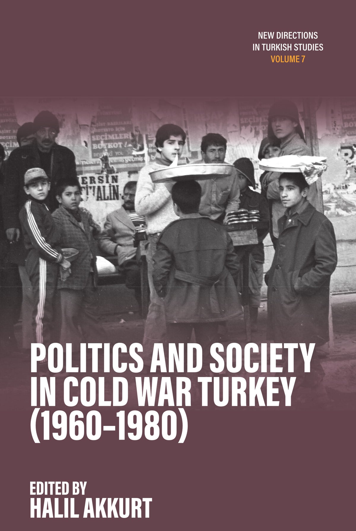 Politics and Society in Cold War Turkey (1960-1980)