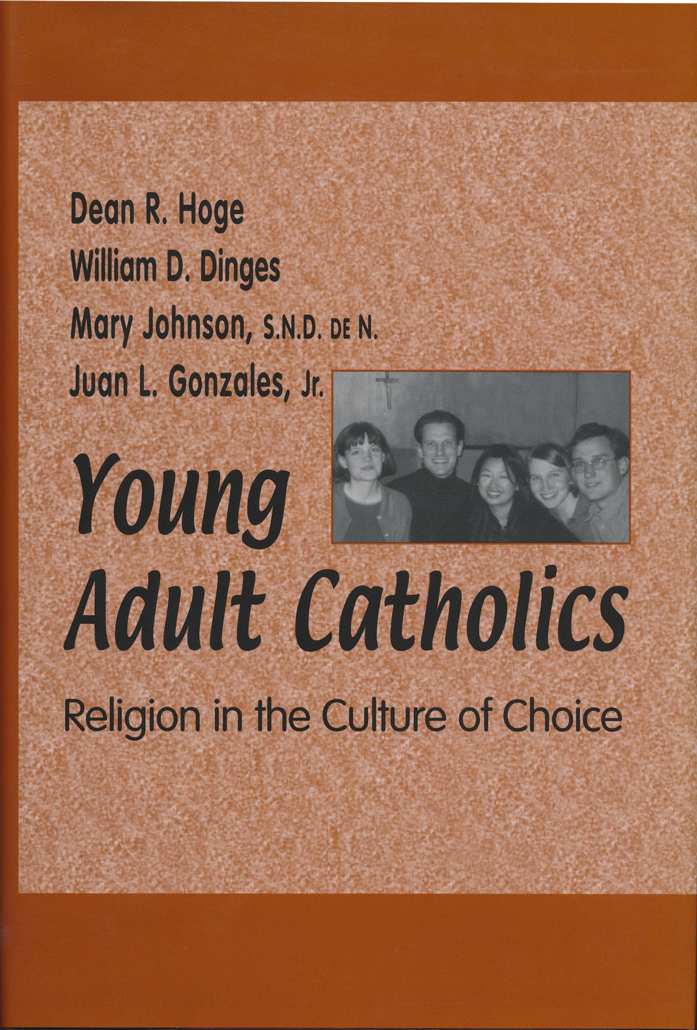 Cover image for Young Adult Catholics ISBN 9780268044763