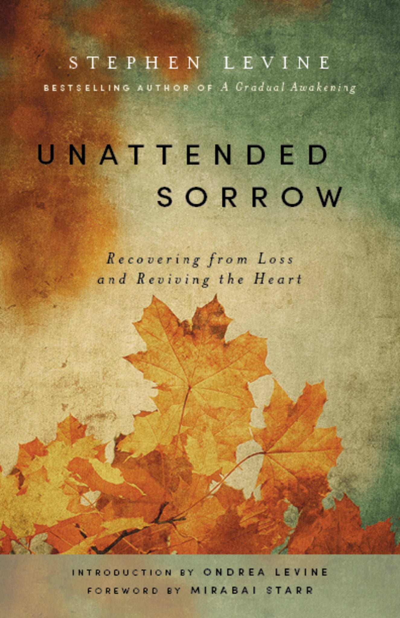 Cover image for Unattended Sorrow ISBN 9781939681911