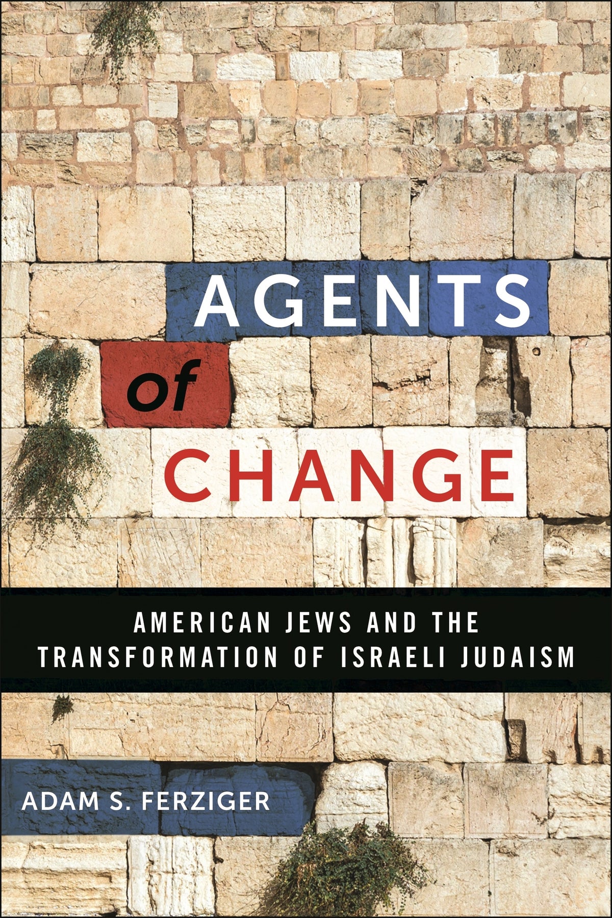Cover image for Agents of Change ISBN 9781479817542