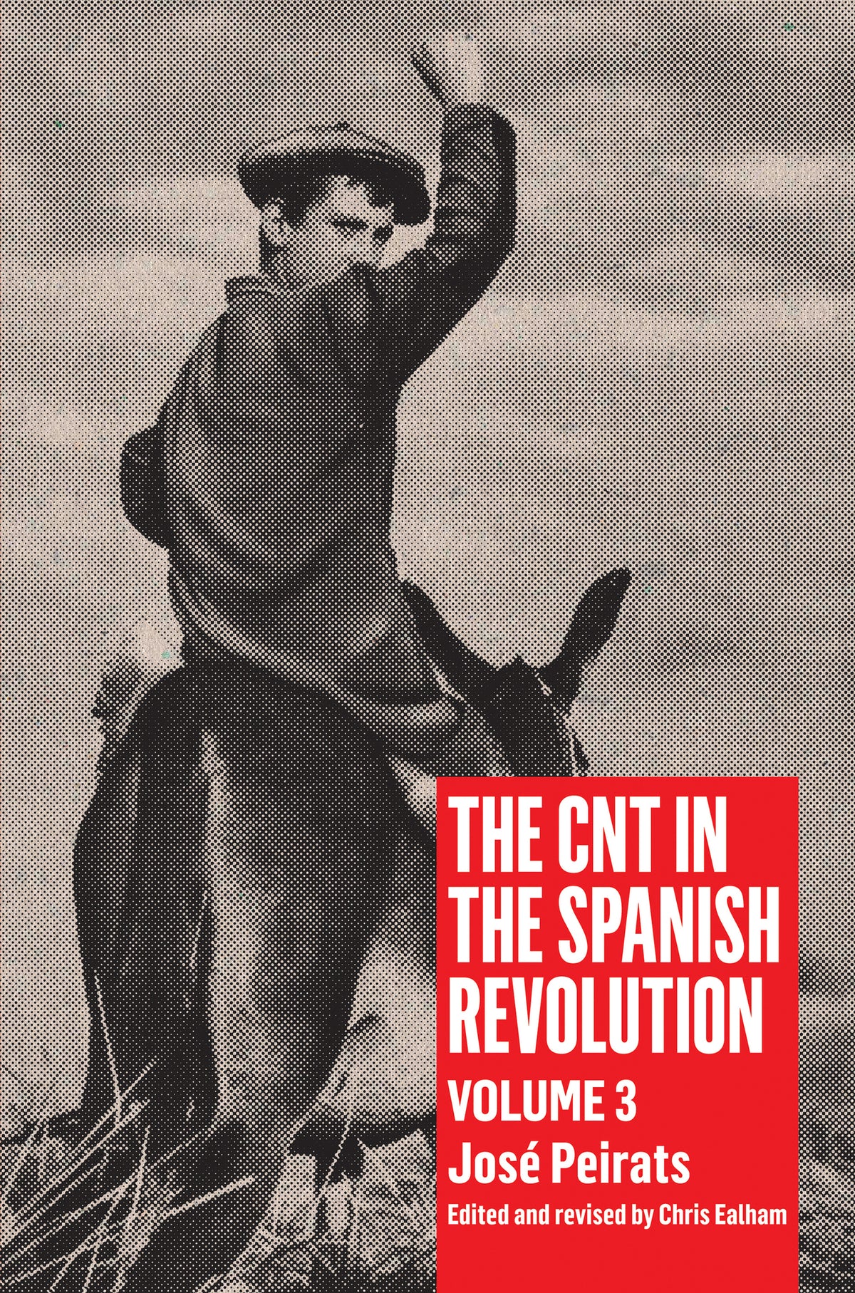 Cover image for CNT in the Spanish Revolution Volume 3 ISBN 9781604862096