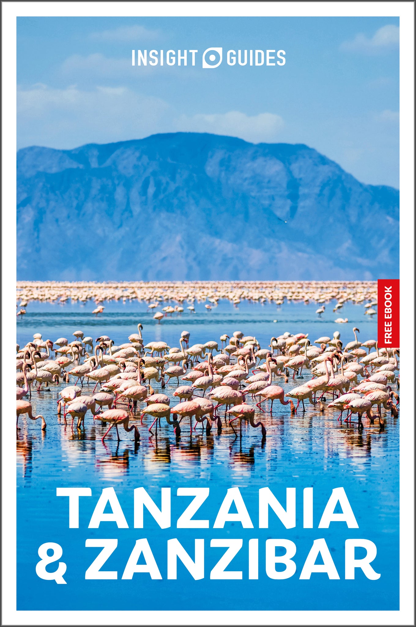 Insight Guides Tanzania and Zanzibar: Travel Guide with eBook