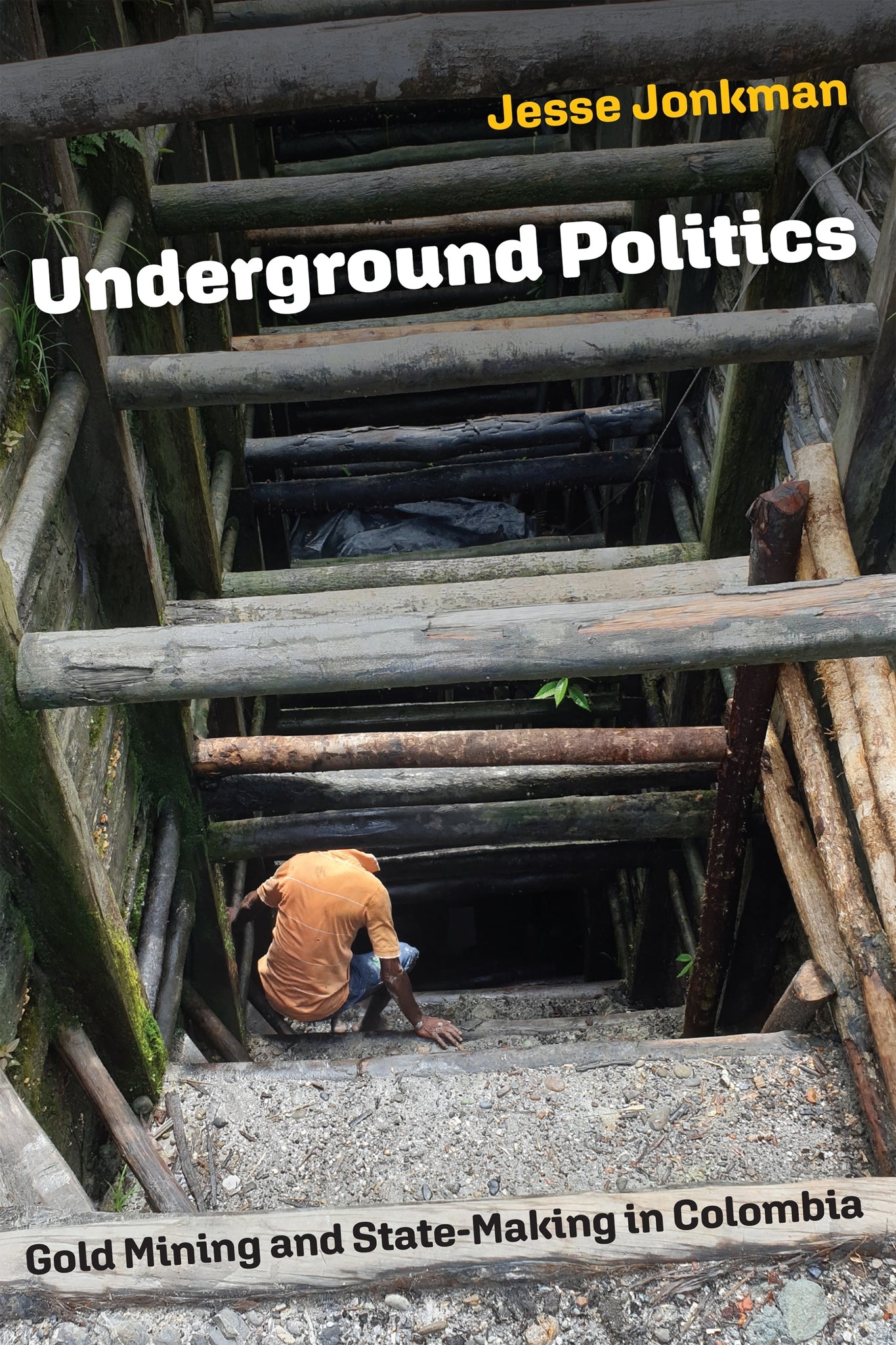 Cover image for Underground Politics ISBN 9781512824575
