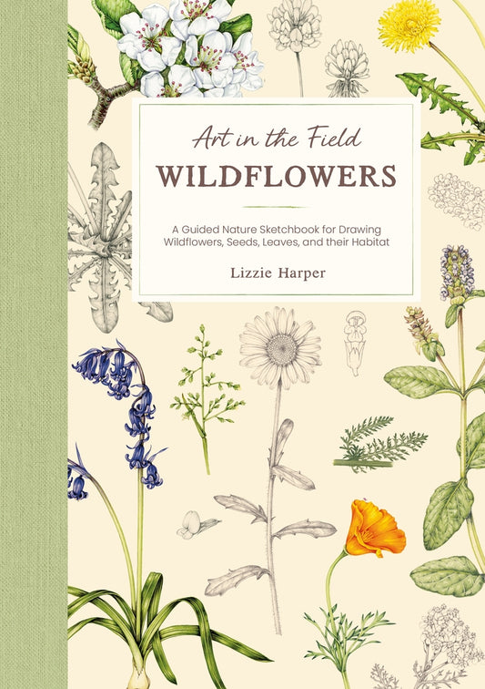 Art in the Field: Wildflowers