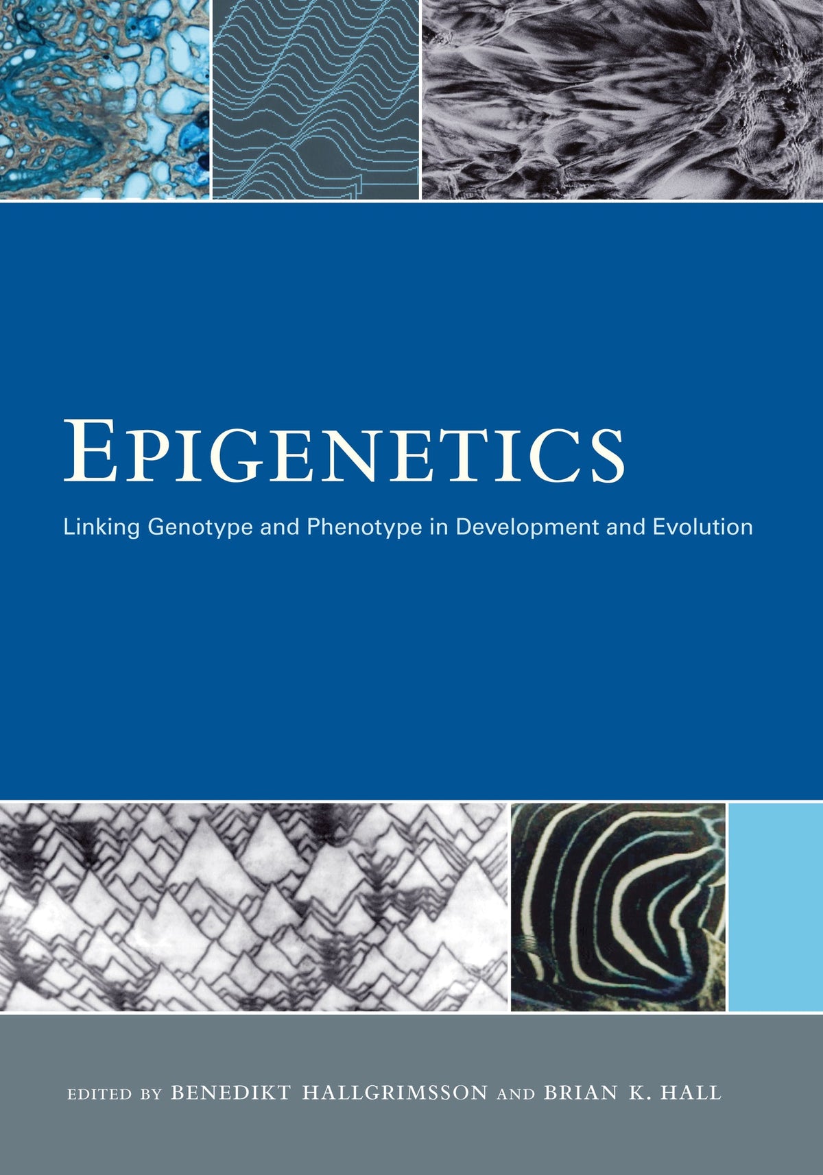 Cover image for Epigenetics ISBN 9780520948822
