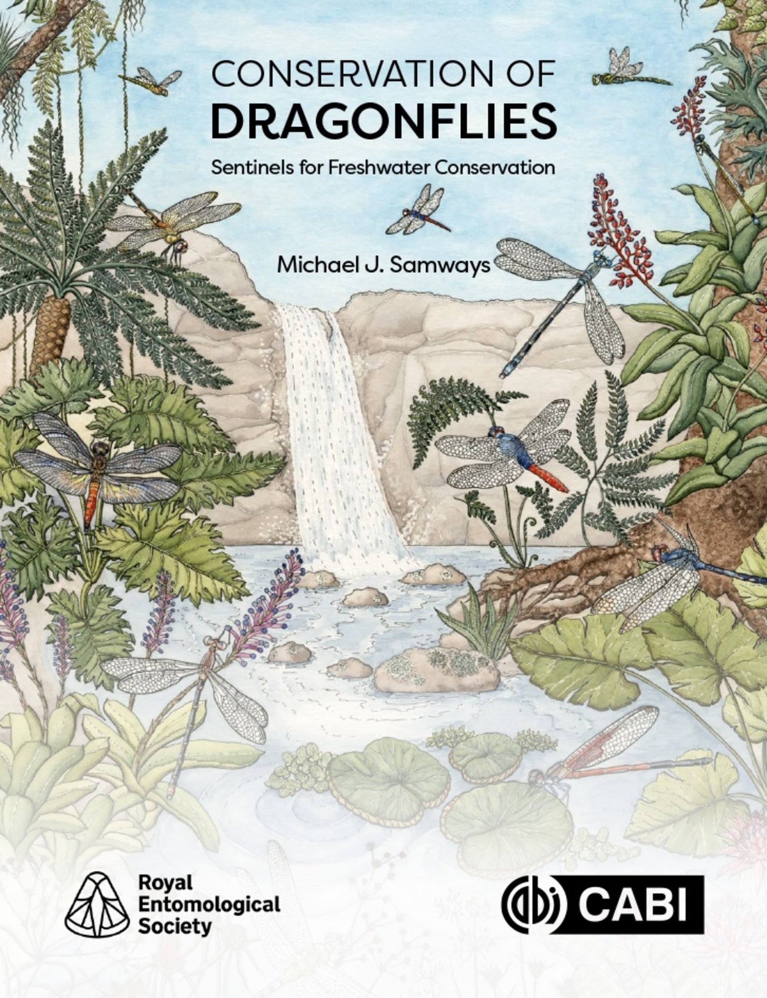 Cover image for Conservation of Dragonflies ISBN 9781836993292