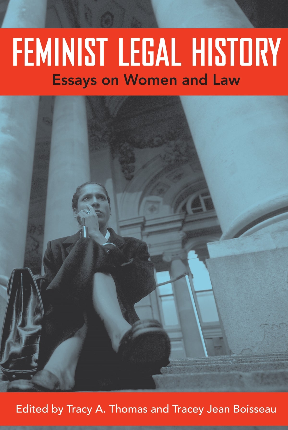 Cover image for Feminist Legal History ISBN 9780814787205