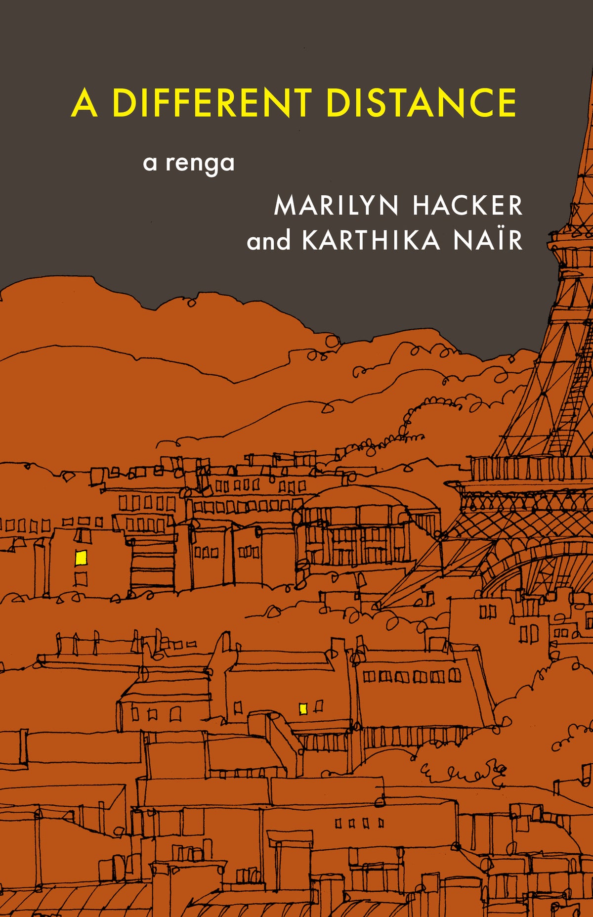Cover image for A Different Distance ISBN 9781571315519