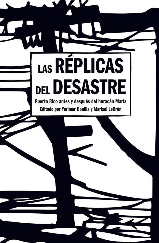Las Réplicas del Desastre