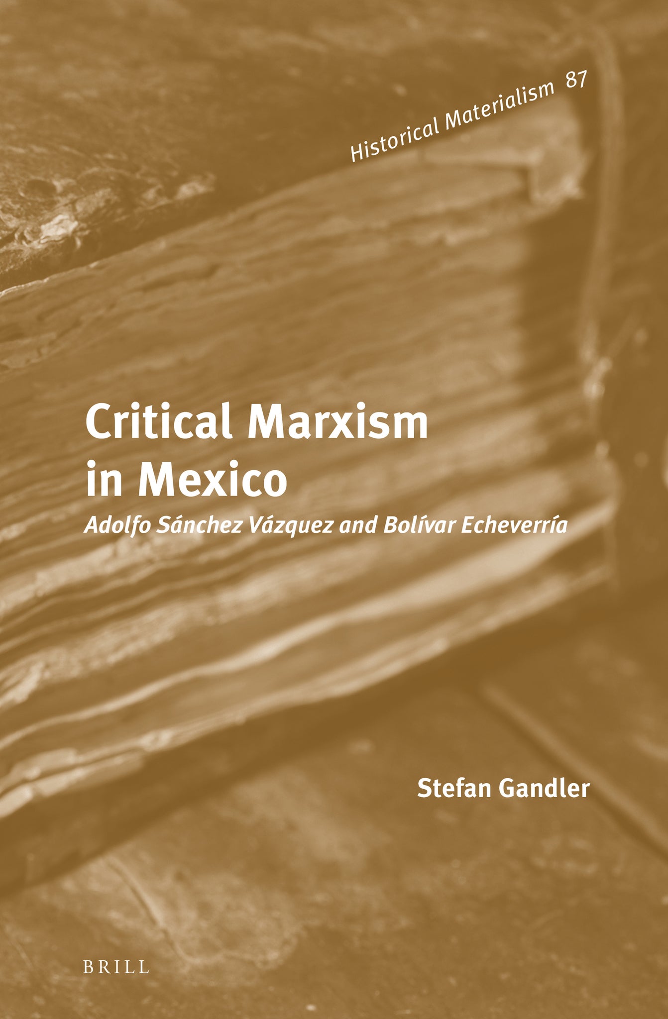 Critical Marxism in Mexico