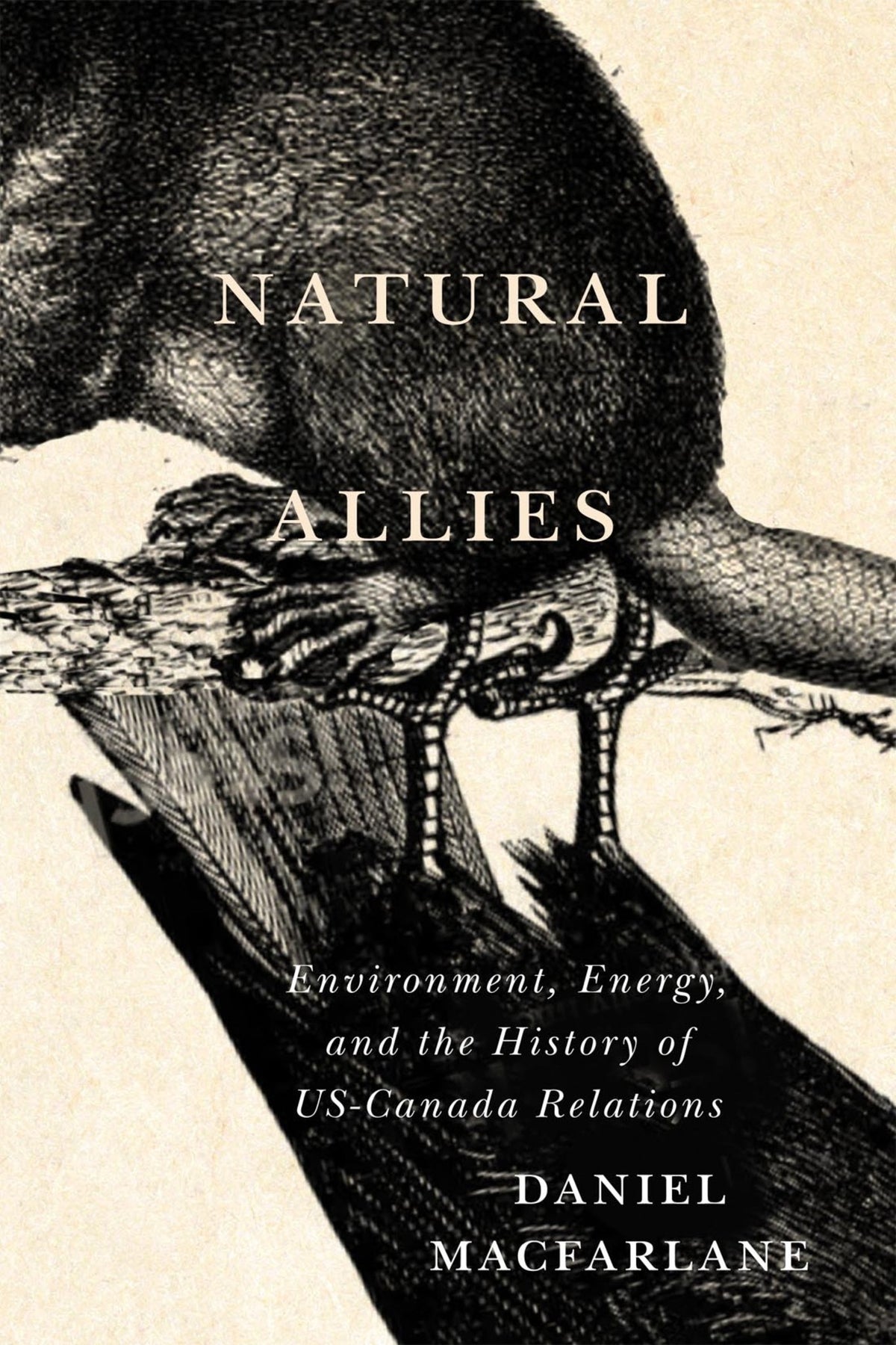 Cover image for Natural Allies ISBN 9780228018087