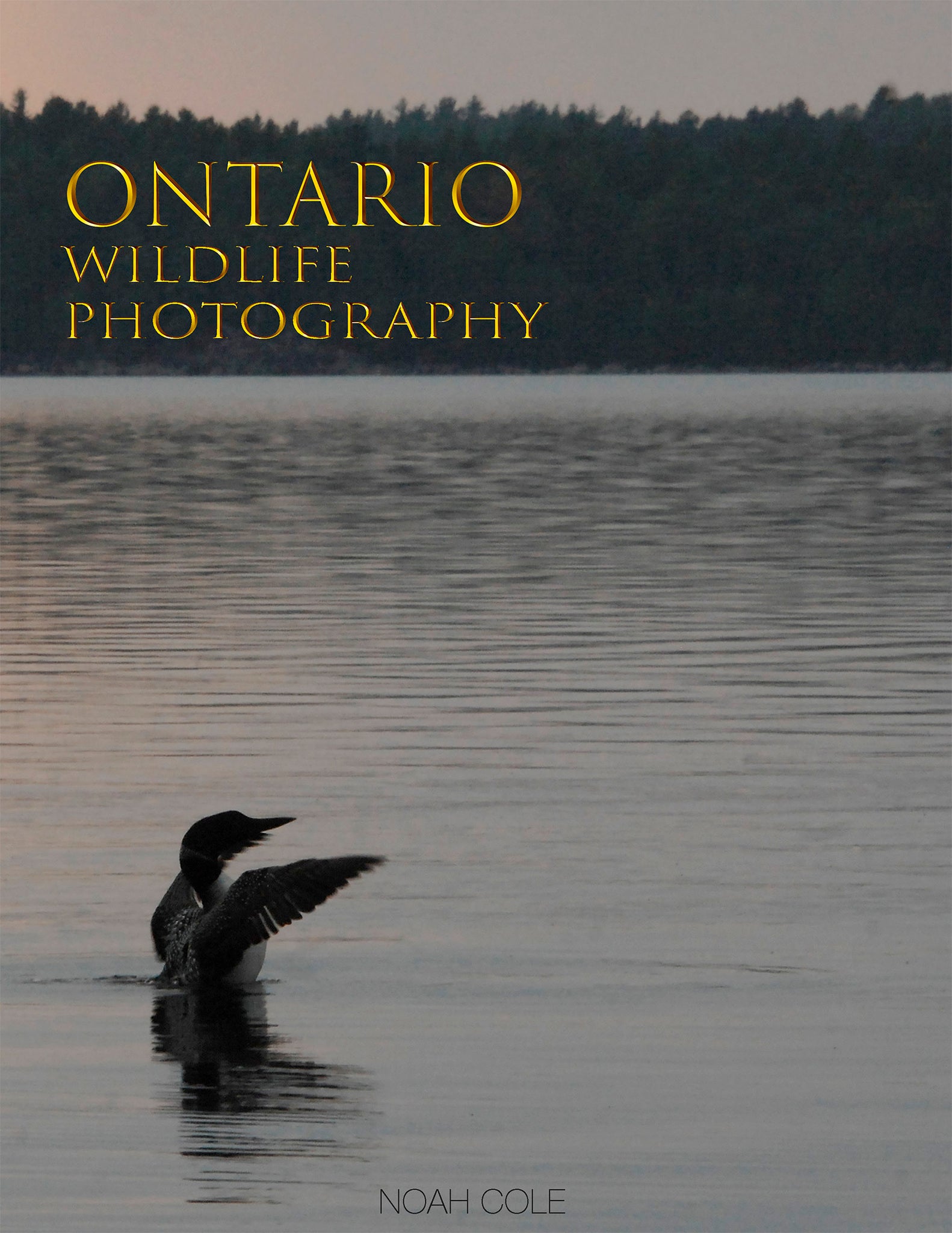 Cover image for Ontario Wildlife Photography ISBN 9781459749504