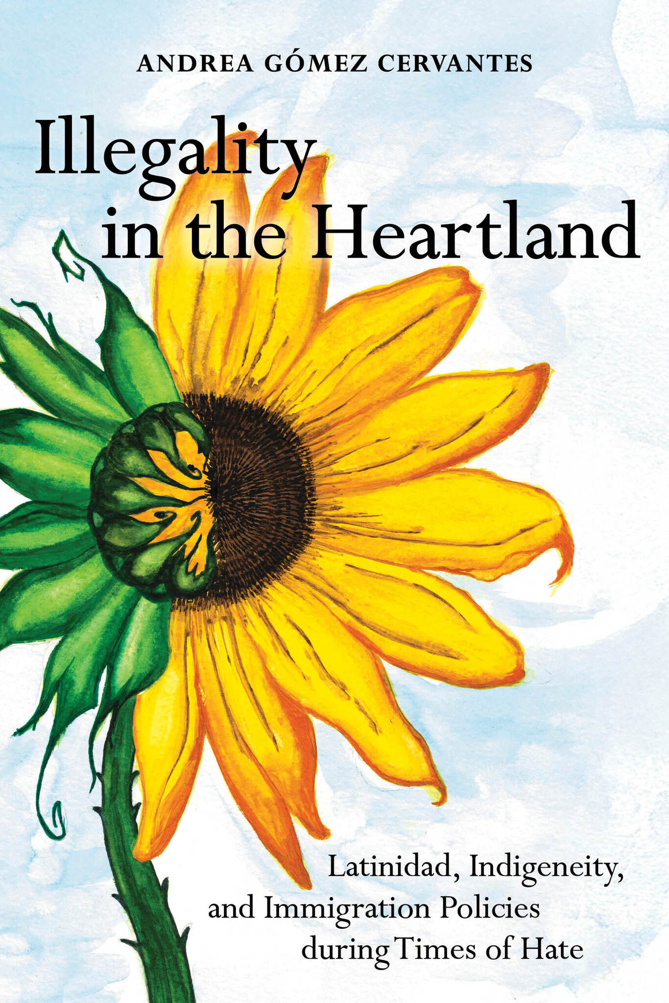 Illegality in the Heartland
