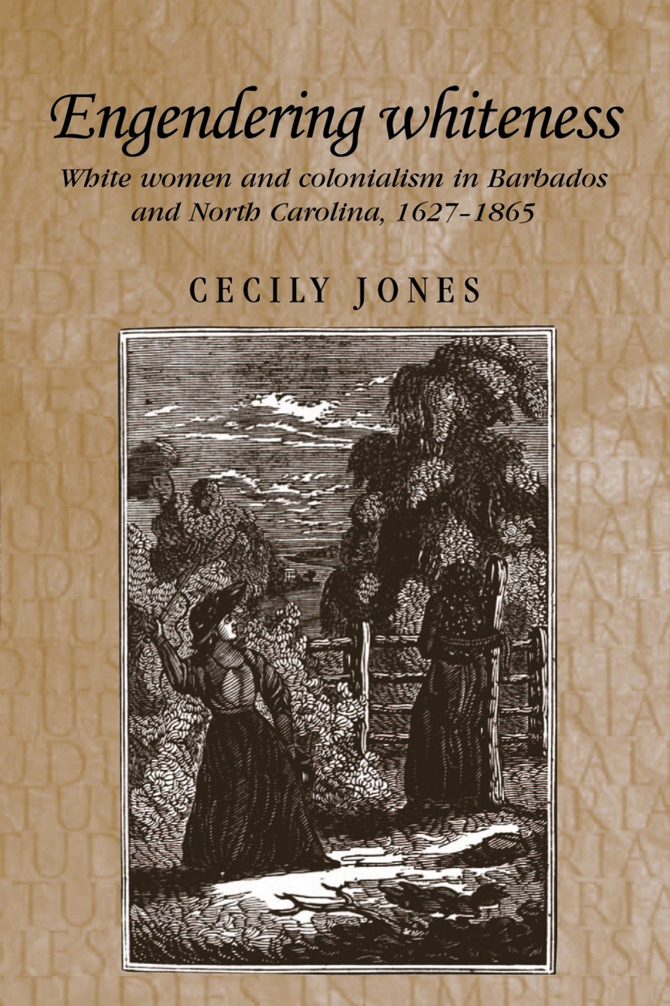 Cover image for Engendering whiteness ISBN 9780719064333