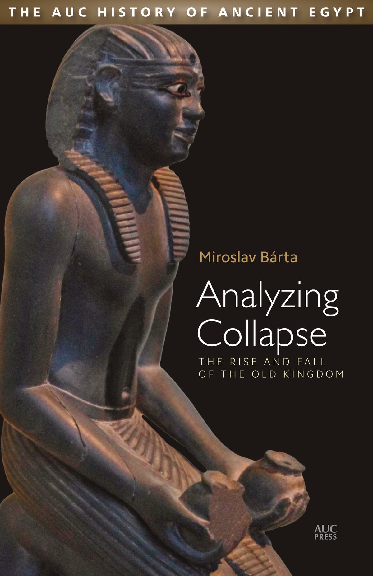 Cover image for Analyzing Collapse: ISBN 9781617979606