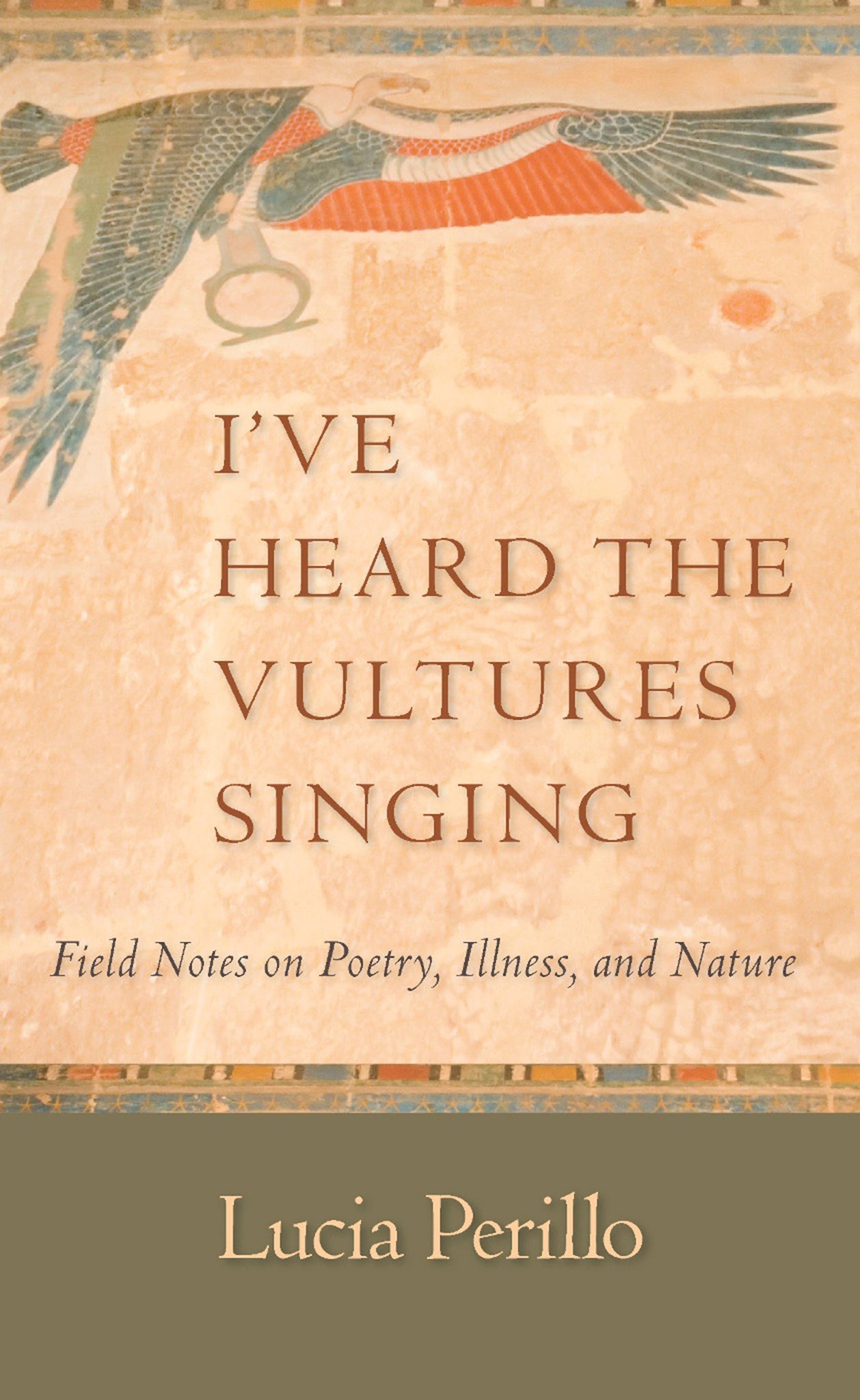 Cover image for I've Heard the Vultures Singing ISBN 9781595340580