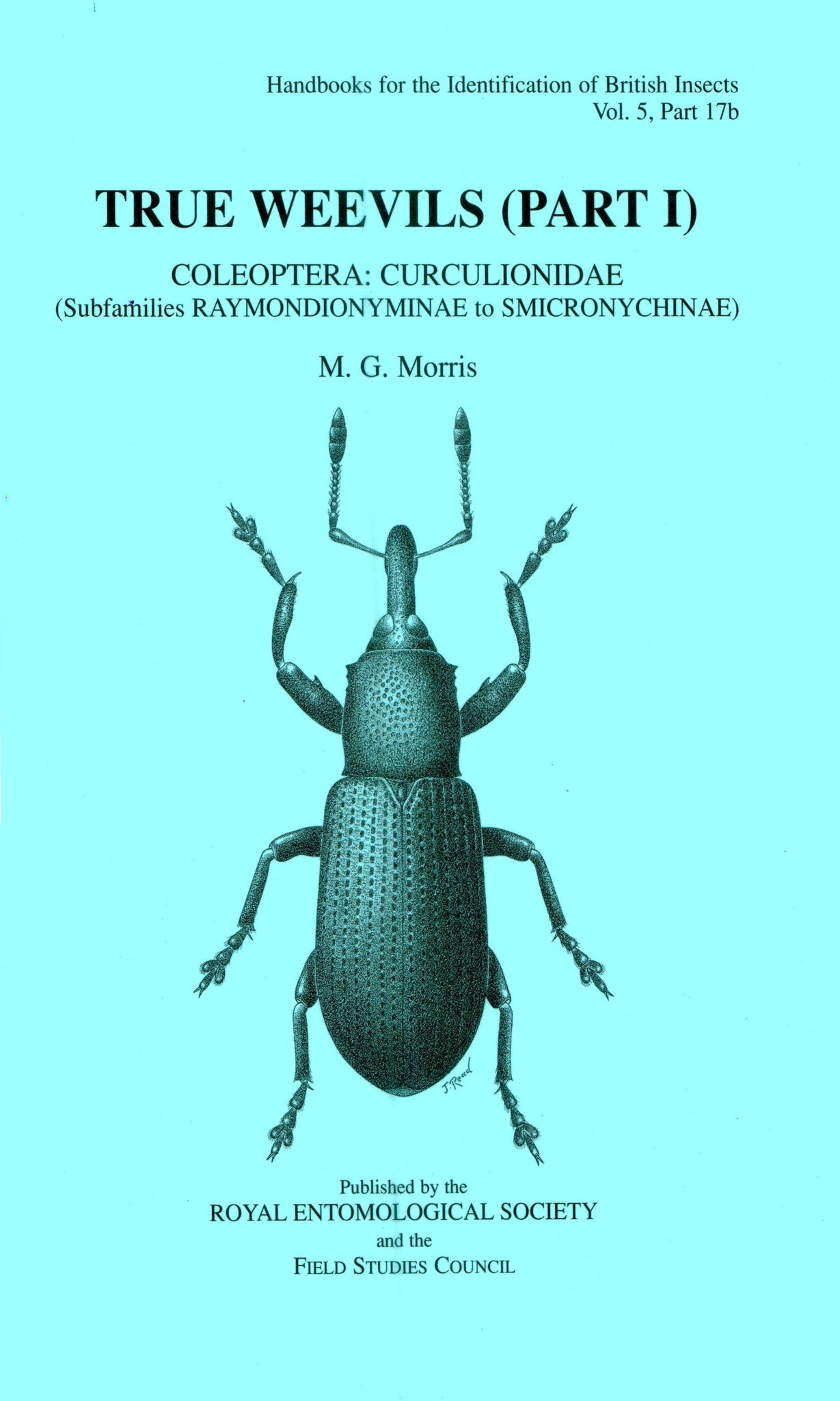 True Weevils (Part I)
