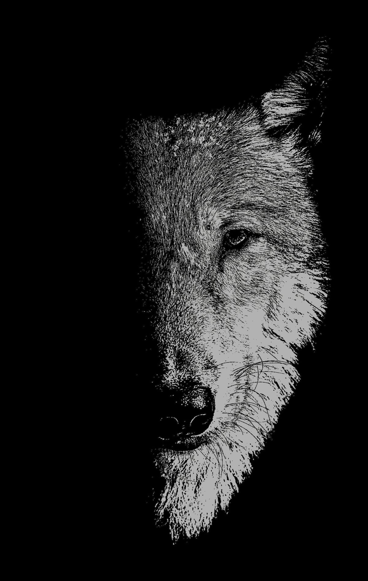 Cover image for In the company of wolves ISBN 9781526129031