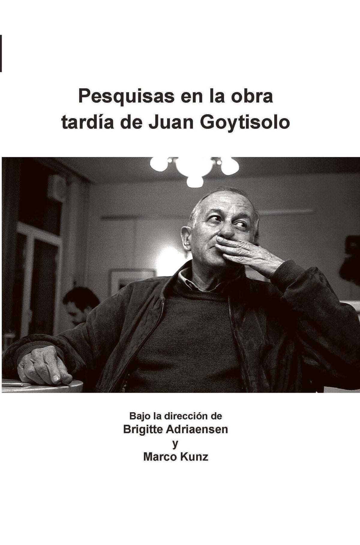 Cover image for Pesquisas en la obra tardía de Juan Goytisolo ISBN 9789042025479
