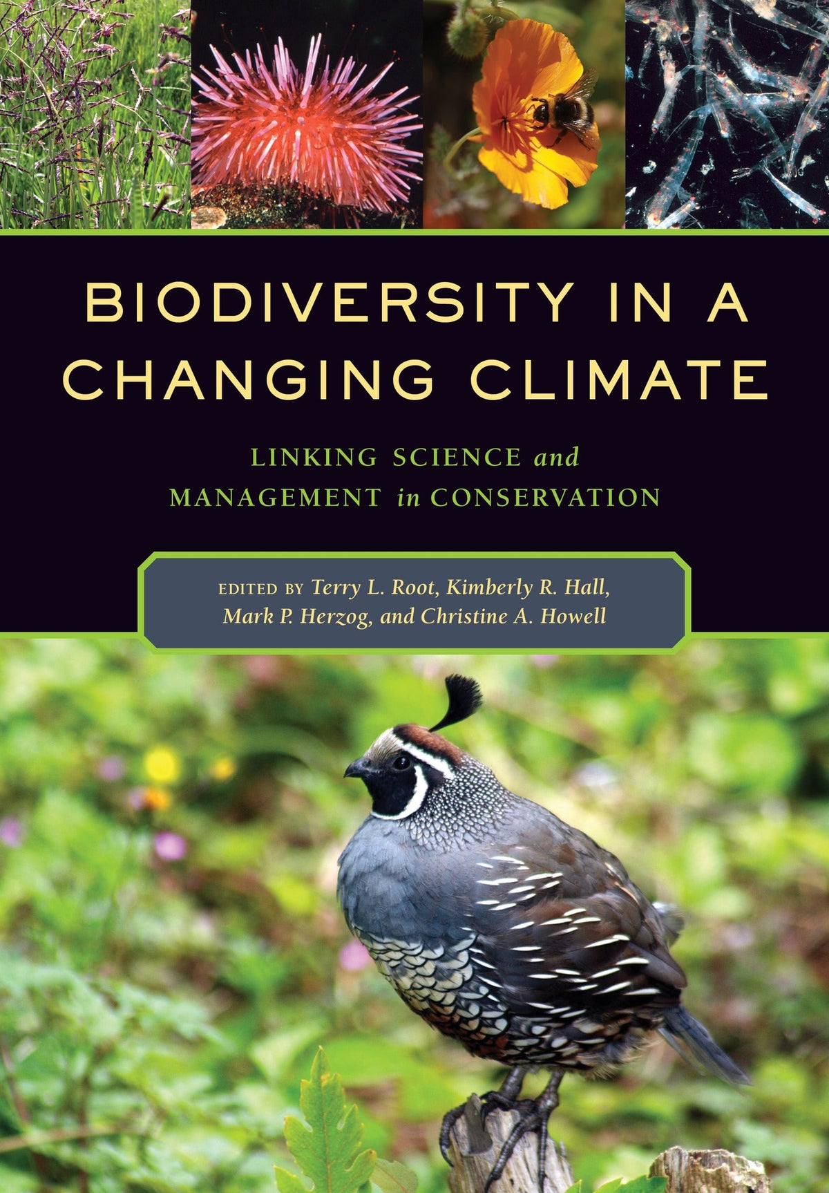 Cover image for Biodiversity in a Changing Climate ISBN 9780520961807