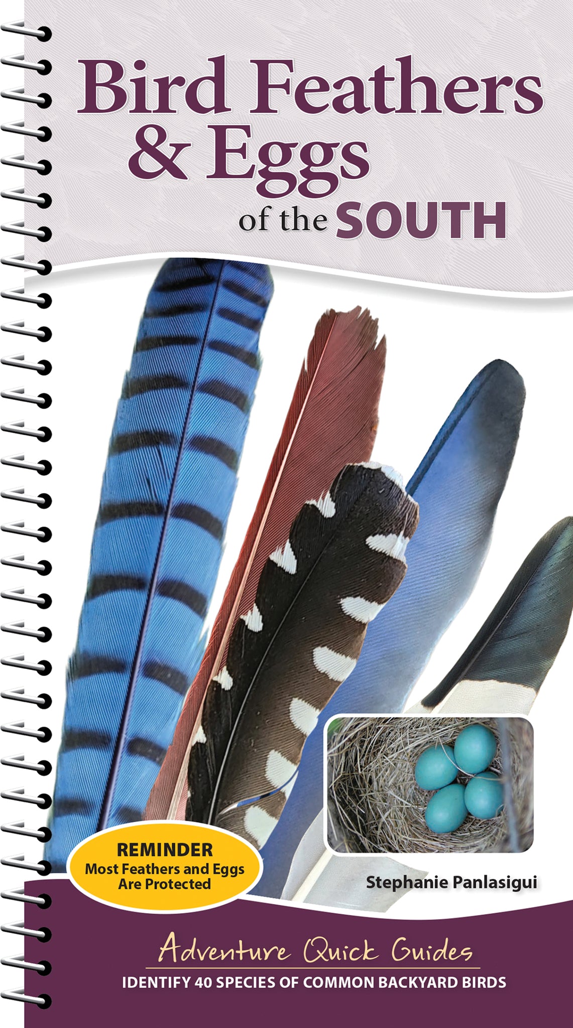 Bird Feathers & Eggs of the South