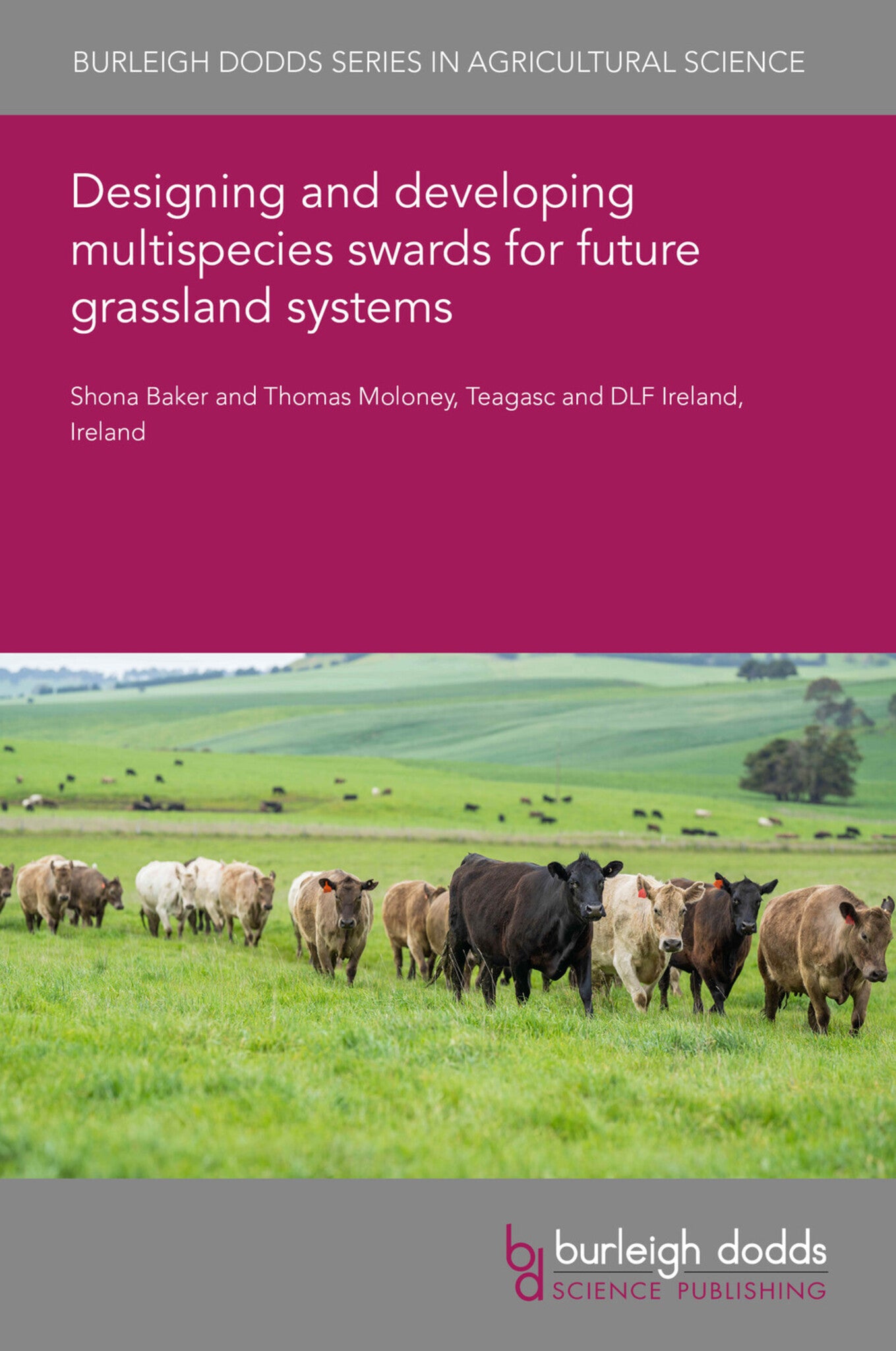 Cover image for Designing and developing multispecies swards for future grassland systems ISBN 9781835456163
