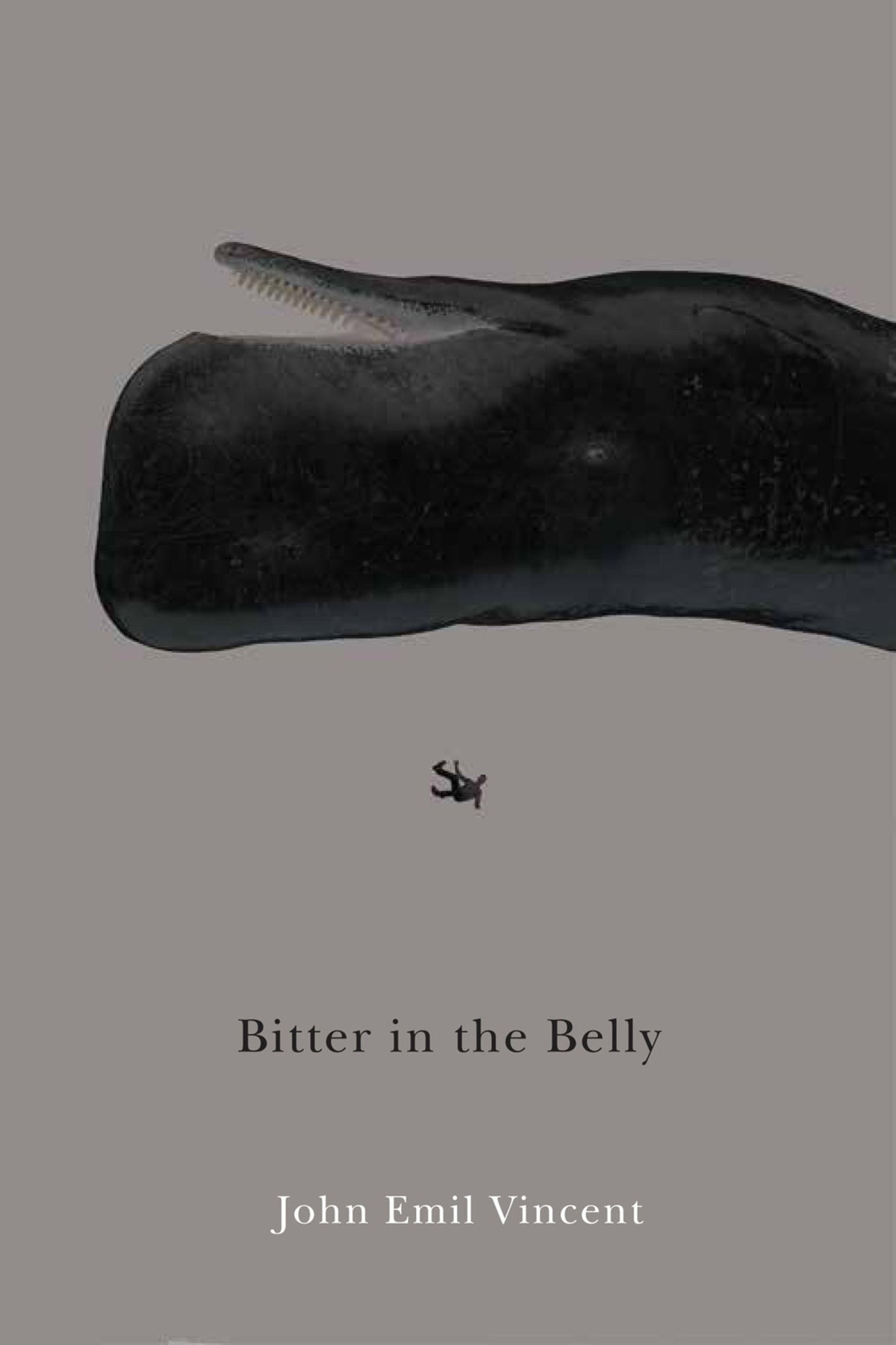 Cover image for Bitter in the Belly ISBN 9780228010319