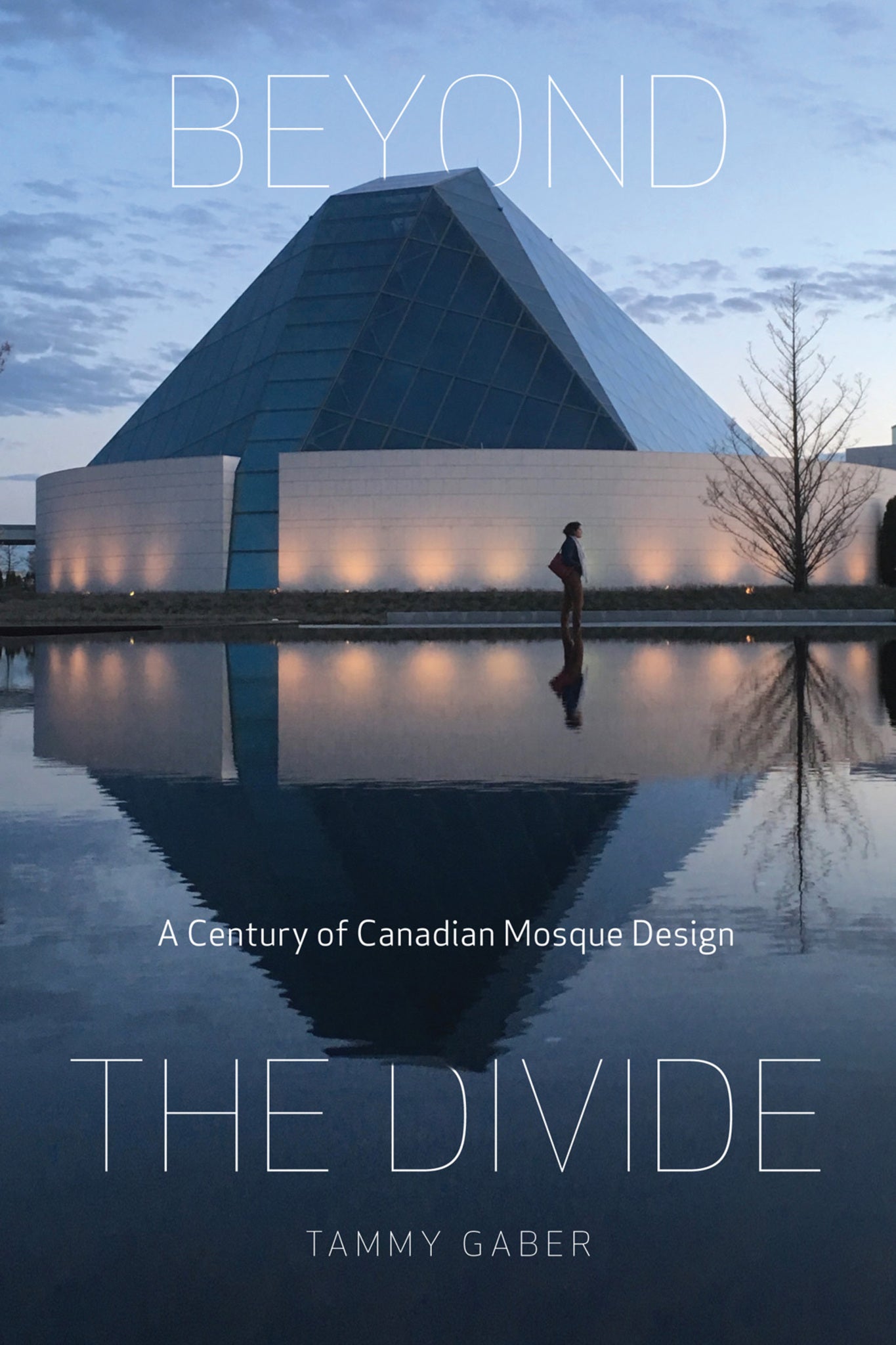 Cover image for Beyond the Divide ISBN 9781553392194
