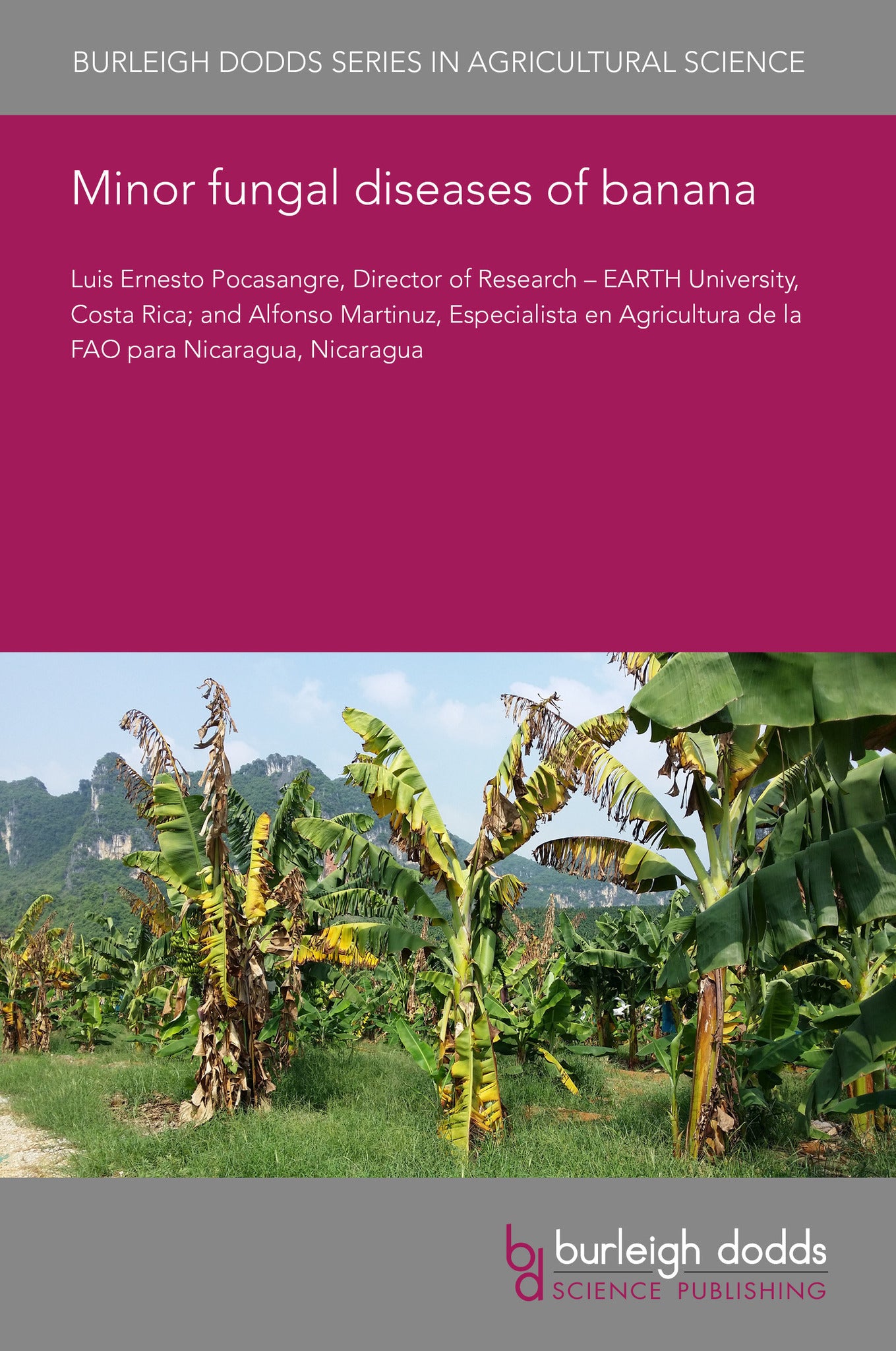 Cover image for Minor fungal diseases of banana ISBN 9781835451069