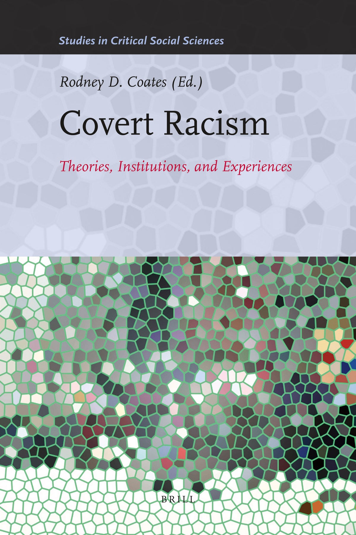 Cover image for Covert Racism ISBN 9789004203655