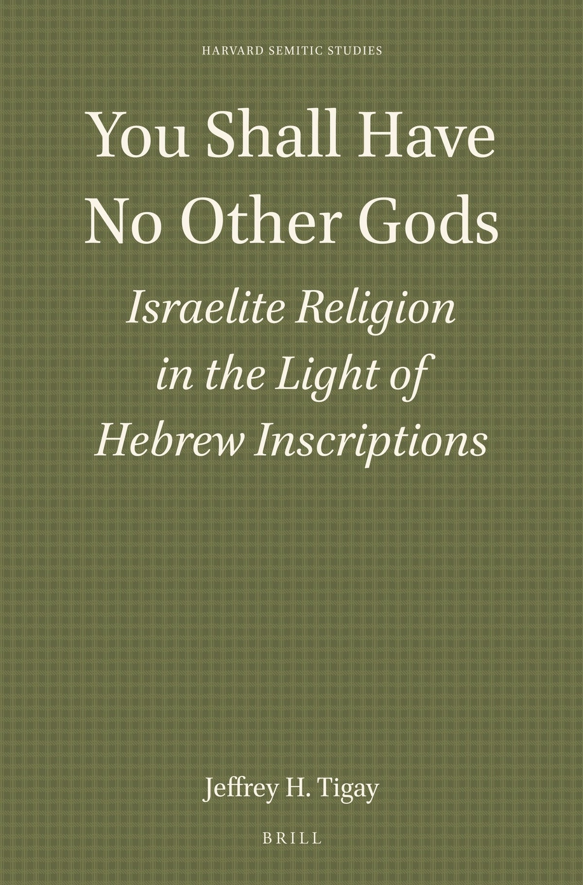 Cover image for You Shall Have No Other Gods: Israelite Religion in the Light of Hebrew Inscriptions ISBN 9781555400637