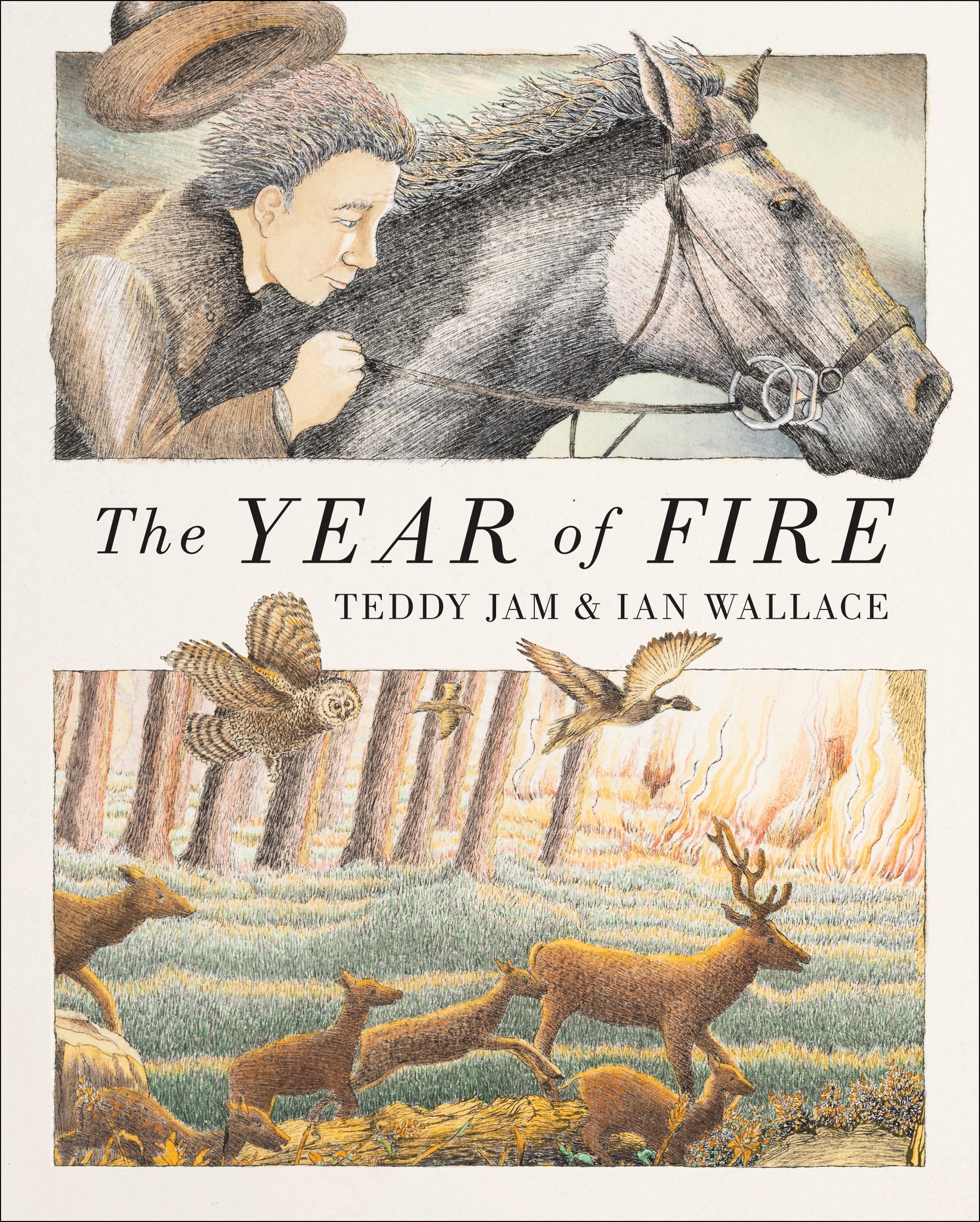 Cover image for The Year of Fire ISBN 9781779460547
