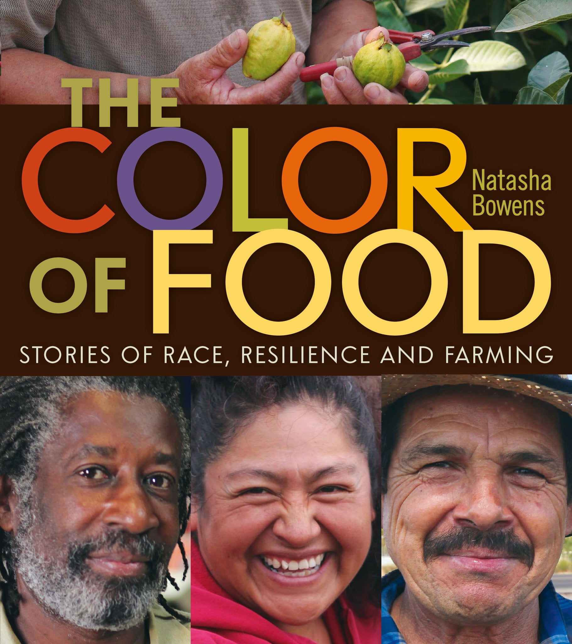 Cover image for The Color of Food ISBN 9780865717893