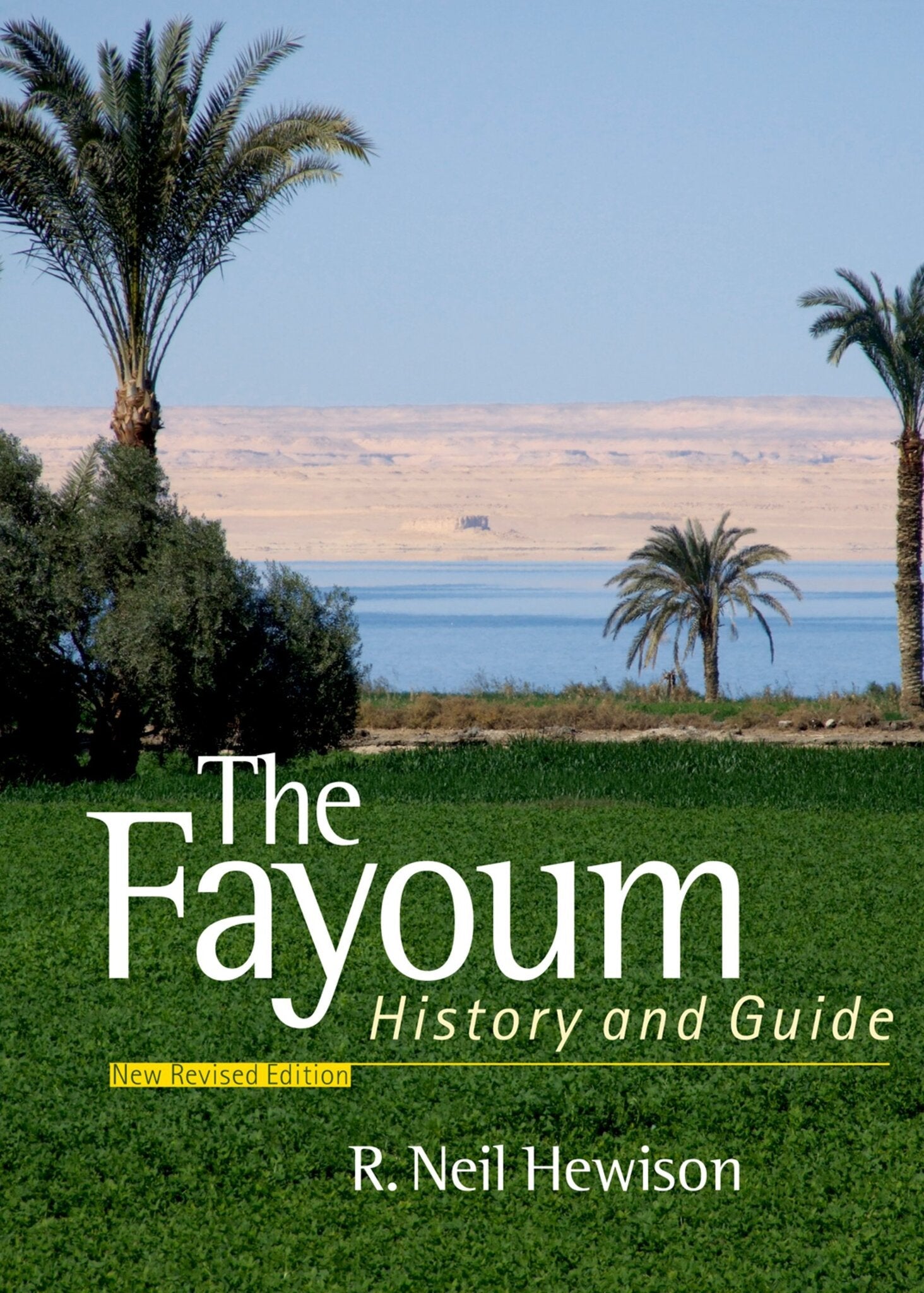 Cover image for The Fayoum: ISBN 9781617972713