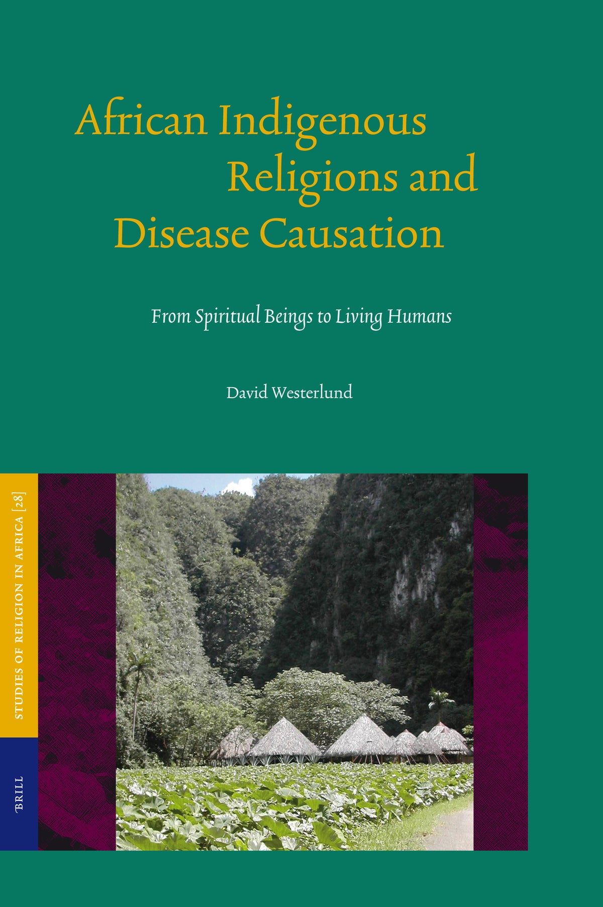 Cover image for African Indigenous Religions and Disease Causation ISBN 9789004144330