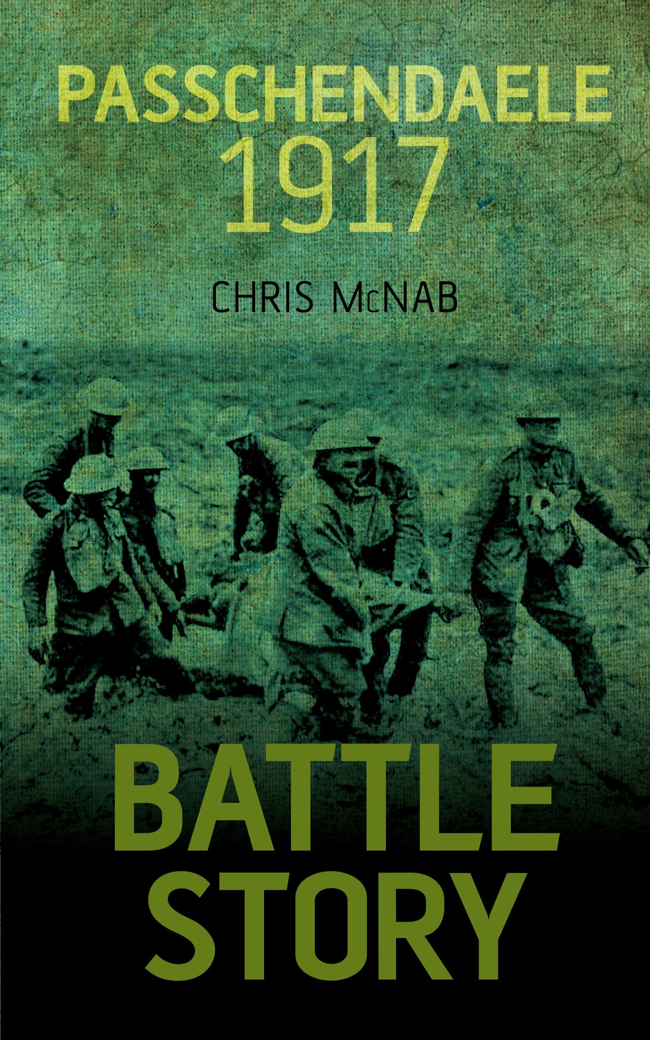 Cover image for Passchendaele 1917 ISBN 9781459734173