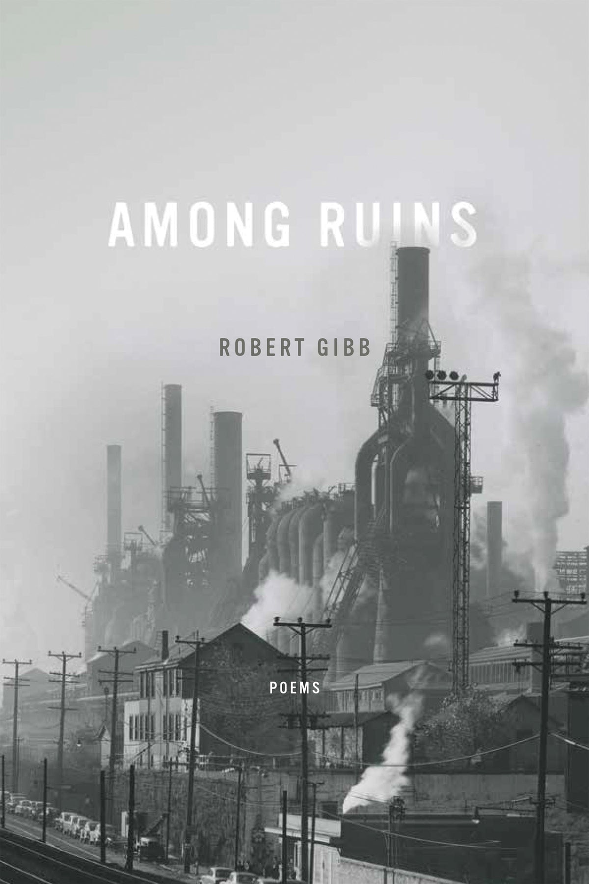 Cover image for Among Ruins ISBN 9780268102104