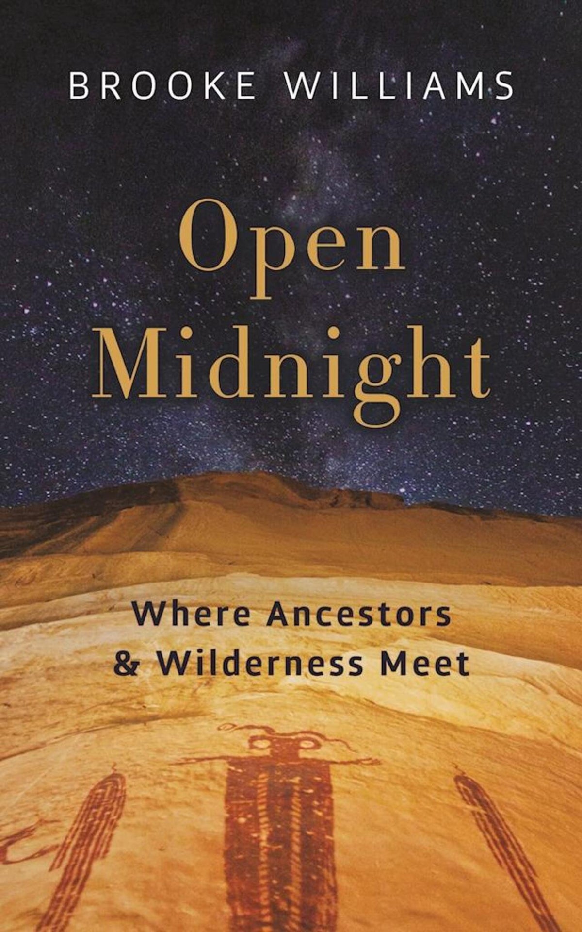 Cover image for Open Midnight ISBN 9781595348036