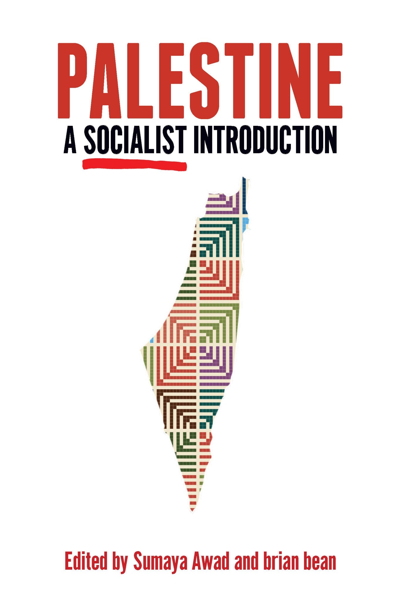 Cover image for Palestine: A Socialist Introduction ISBN 9781642594126