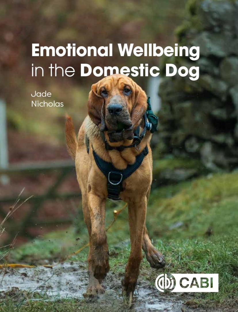 Cover image for Emotional Wellbeing in the Domestic Dog ISBN 9781836992431