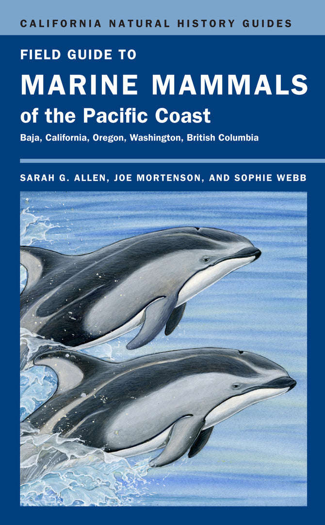 Cover image for Field Guide to Marine Mammals of the Pacific Coast ISBN 9780520265448