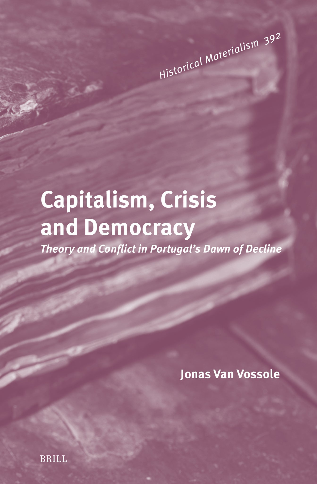 Cover image for Capitalism, Crisis and Democracy ISBN 9789004766228