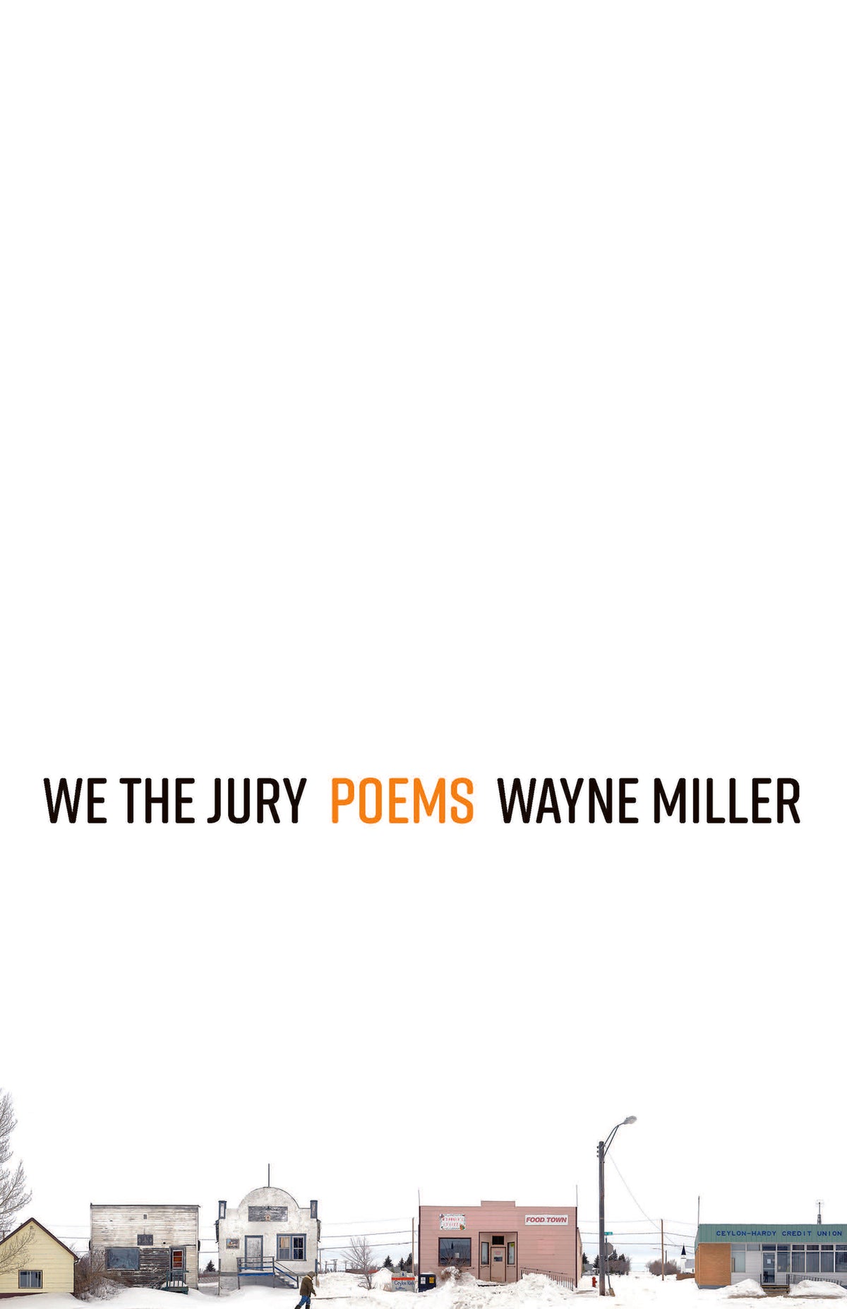 Cover image for We the Jury ISBN 9781571315311