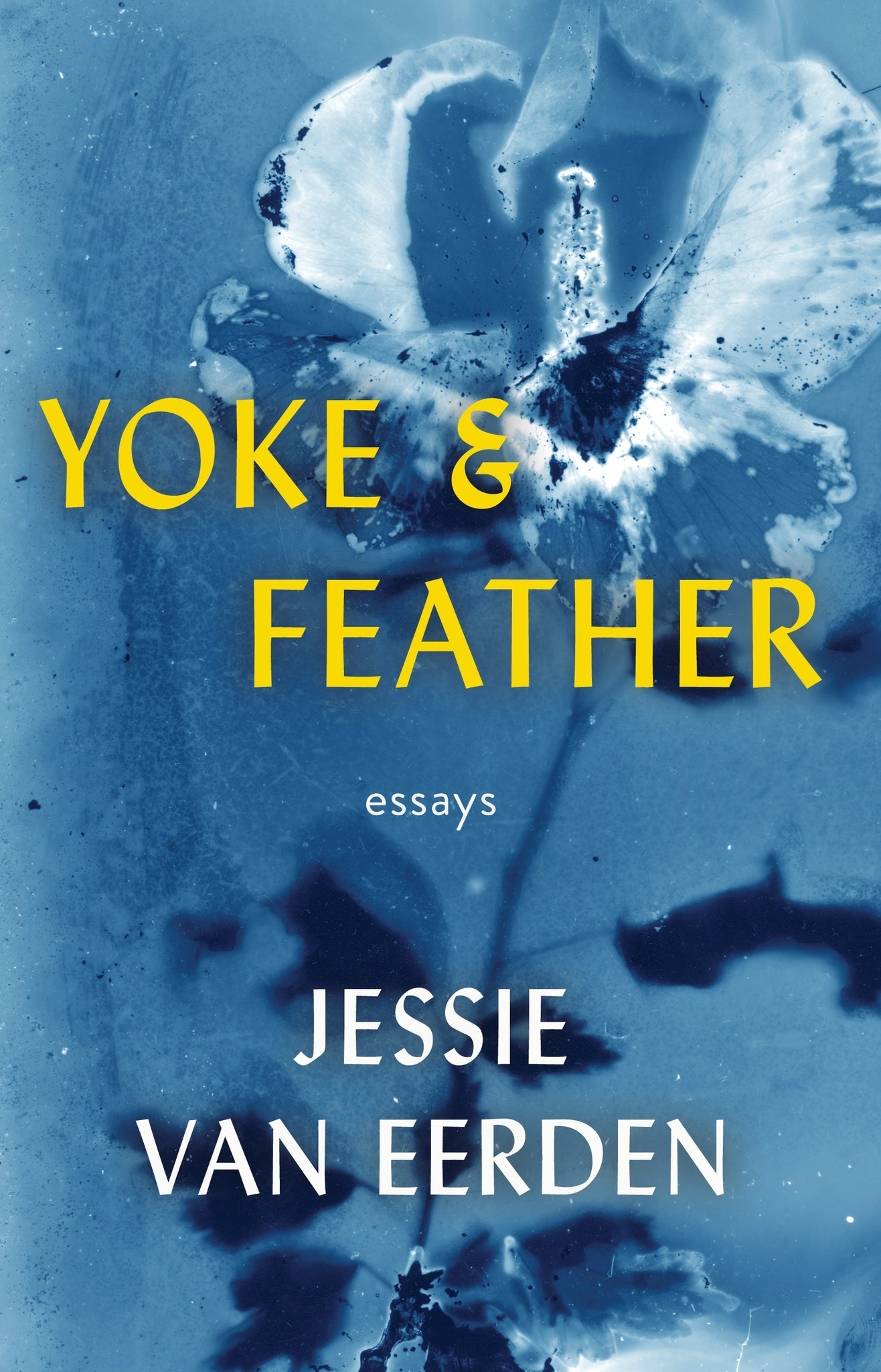 Cover image for Yoke and Feather ISBN 9781938603884