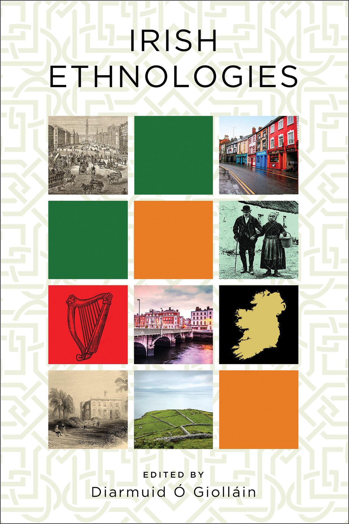 Cover image for Irish Ethnologies ISBN 9780268102395