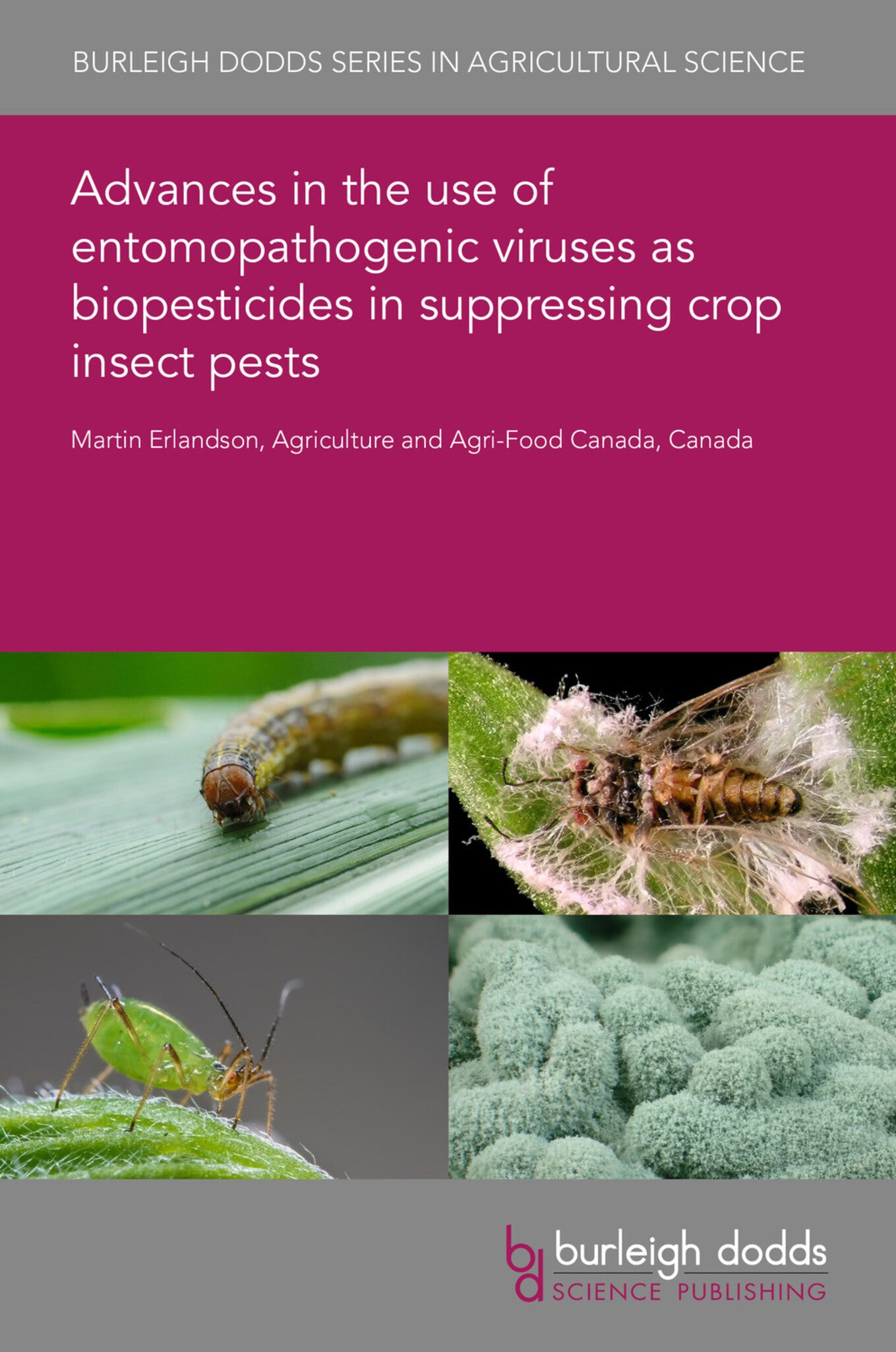 Cover image for Advances in the use of entomopathogenic viruses as biopesticides in suppressing crop insect pests ISBN 9781786767042